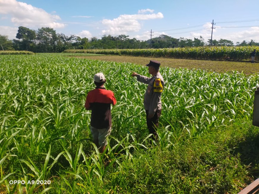 Polres Malang Ajak Petani Perkuat Pangan dari Tingkat Desa