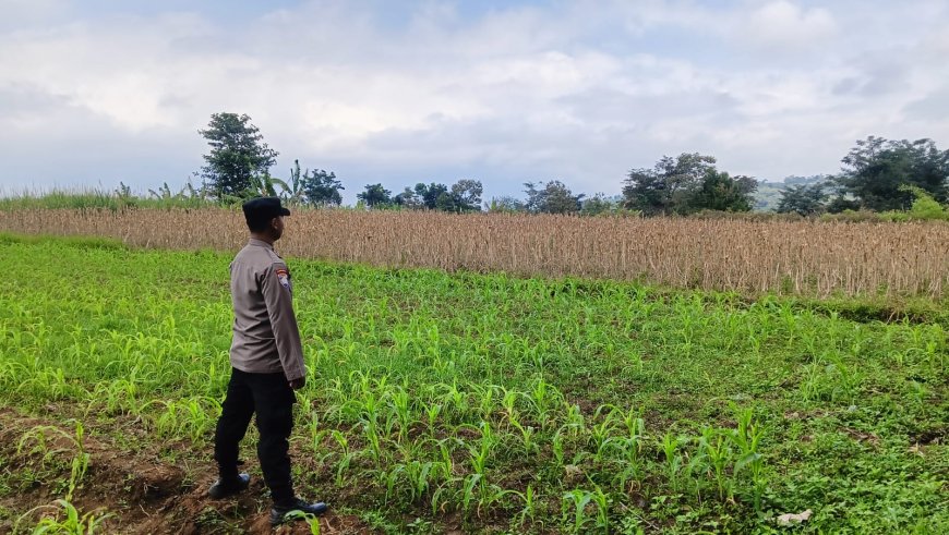 Polisi Turun ke Desa, Dukung Petani Jaga Pasokan Pangan di Kabupaten Malang