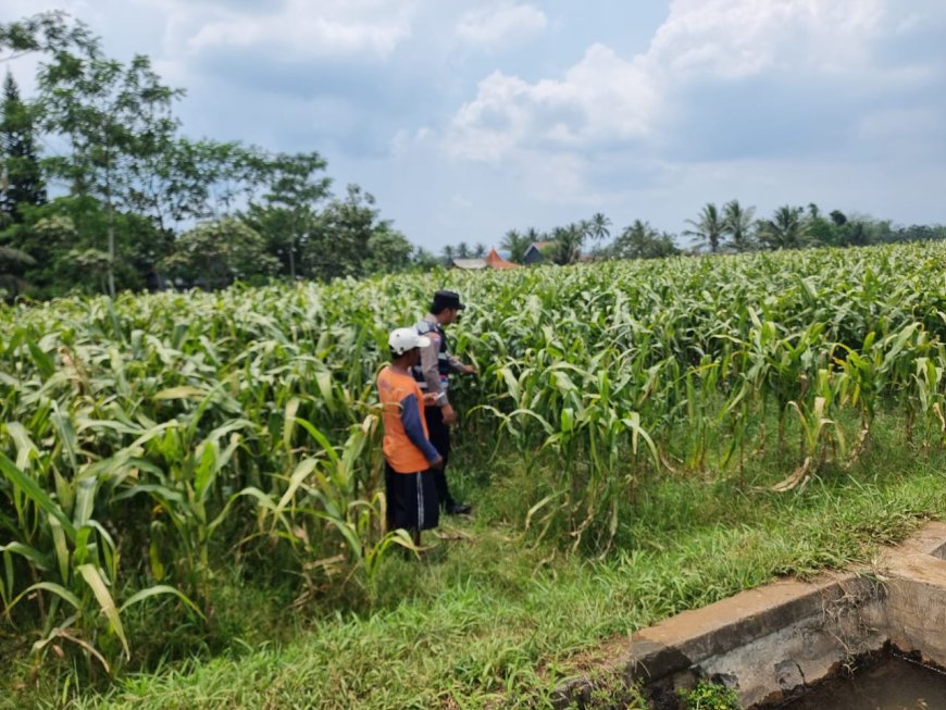Dari Petani hingga Distribusi, Polisi Ikut Pastikan Rantai Pangan Berjalan