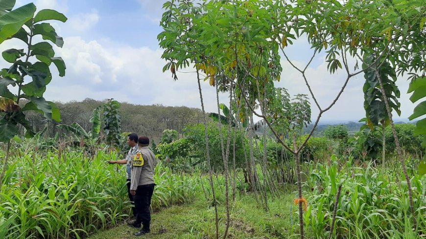 Polres Malang Dukung Petani Kelola Lahan untuk Jaga Pasokan Pangan