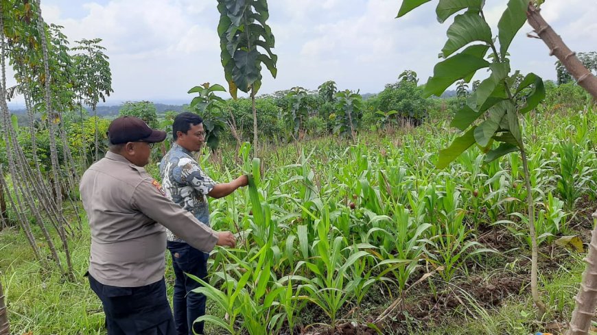 Lahan Produktif Jadi Perhatian, Polres Malang Dukung Ketahanan Pangan